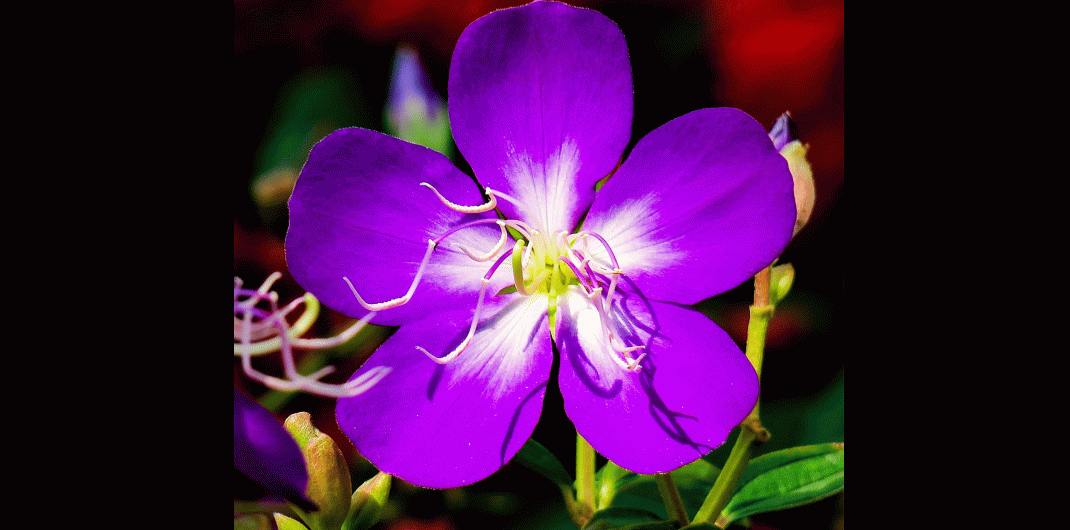 mnneressenz-1-nxr90roci9oact2iyqc8y0ngj2f62y5yu1ff251838