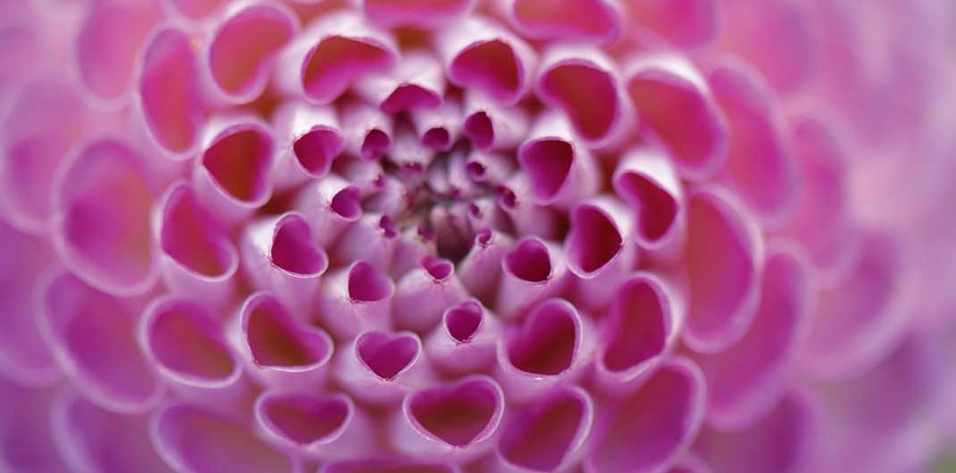 produktbild-slider-herzverbindung-myhsjk3fxlcc38v0y1h4ycma5yn35qvqsw9vmazp6c