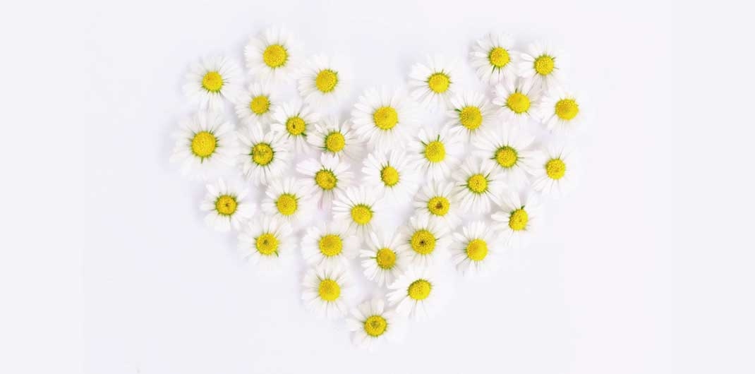 produktbild-slider-trauma-myhskloziyrsznceuhq7q34pxdhrpn10a2datdfy9g