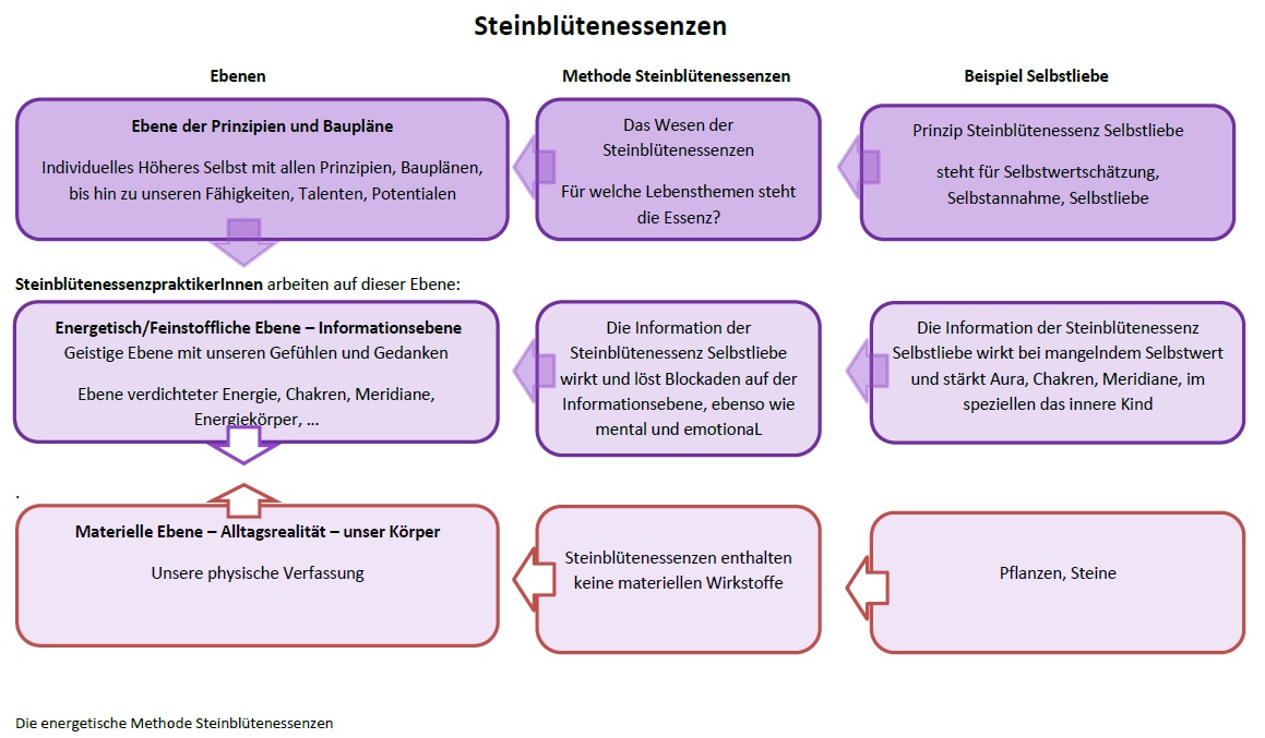steinbltenessenzen